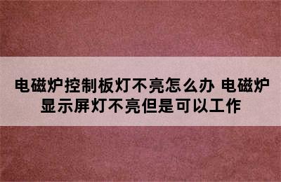 电磁炉控制板灯不亮怎么办 电磁炉显示屏灯不亮但是可以工作